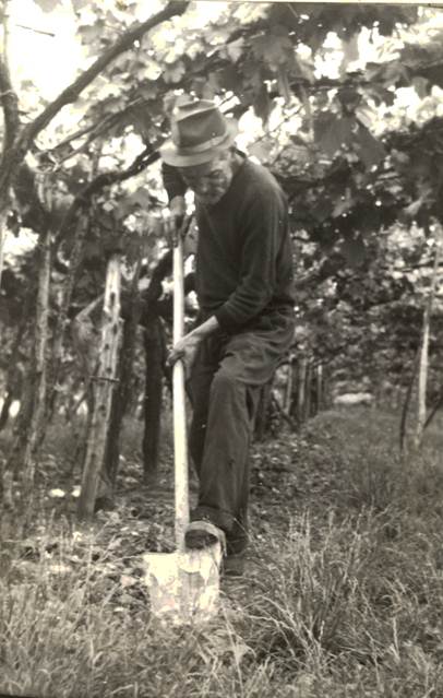 image002