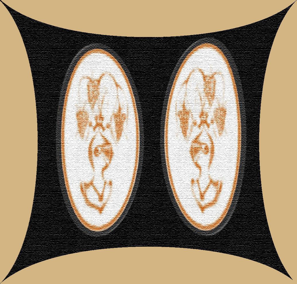 sfondo-tex